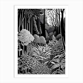 Royal Botanical Gardens, Burlington, Canada Linocut Black And White Vintage Art Print