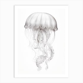Irukandji Jellyfish Drawing 7 Art Print