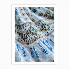 Blue And White Embroidered Dress Art Print