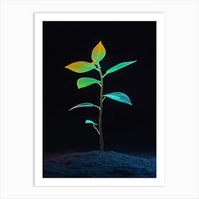 Young Plant Growing In The Dark Art Print