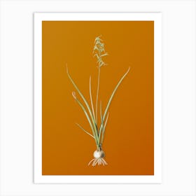 Vintage Hyacinthus Viridis Botanical on Sunset Orange n.0462 Art Print