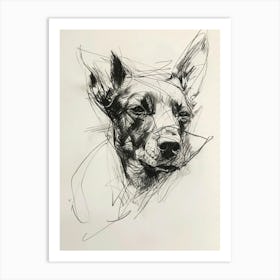 Belgian Malinois Dog Charcoal Line 4 Art Print