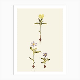 Three Flowers In A Pot Art Print