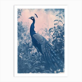 Peacock In The Wild Cyanotype Inspired 3 Art Print