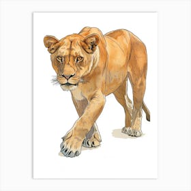 Barbary Lioness On The Prowl Clipart 3 Art Print