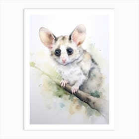 Light Watercolor Painting Of A Ringtail Possum 4 Art Print