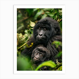 Rwanda Mountain Gorillas 1 Art Print