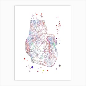 Heart Anatomy Art Art Print
