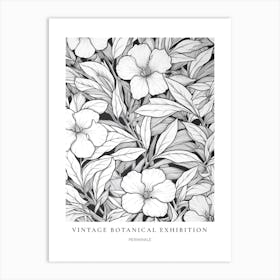 Periwinkle B&W Vintage Botanical Poster Art Print