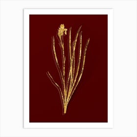 Vintage Siberian Iris Botanical in Gold on Red n.0293 Art Print