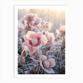 Frosty Botanical Christmas Rose 1 Art Print