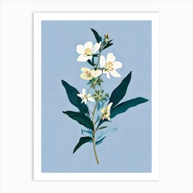 White Flowers 5 Art Print