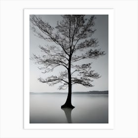 Lone Tree 1 Art Print