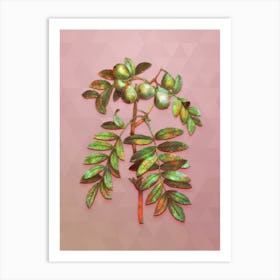 Vintage Service Tree Botanical Art on Crystal Rose n.0631 Art Print