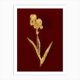 Vintage Tall Bearded Iris Botanical in Gold on Red n.0283 Art Print