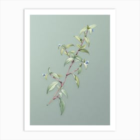 Vintage Birdbill Dayflower Botanical Art on Mint Green Art Print