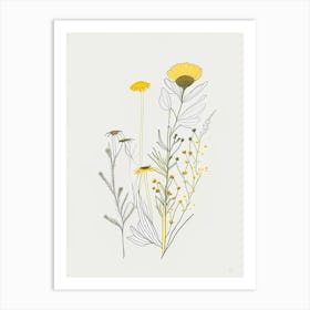 Chamomile Spices And Herbs Minimal Line Drawing 2 Art Print