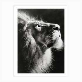 African Lion Charcoal Drawing Portrait Close Up 3 Art Print