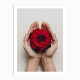 Red Rose In Hands Art Print