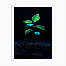 Tree In The Dark 15 Art Print