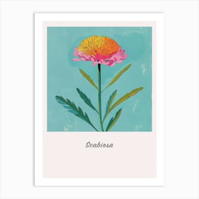 Scabiosa 1 Square Flower Illustration Poster Art Print