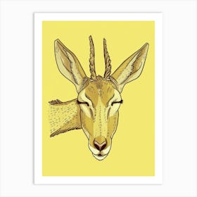 Antelope 13 Art Print