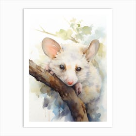 Light Watercolor Painting Of A Sleeping Possum 7 Art Print