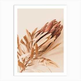 Boho Protea Flower Art Print