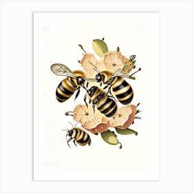 Colony Bees 3 Vintage Art Print