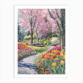 Tulips In Bloom 10 Art Print