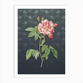 Vintage Variegated French Rosebush Botanical on Slate Gray Pattern n.0491 Art Print