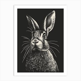 Blanc De Hotot Blockprint Rabbit Illustration 3 Art Print
