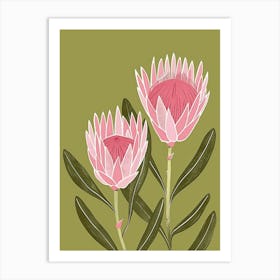 Pink & Green Protea 3 Art Print