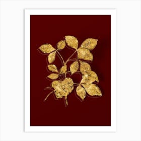 Vintage Common Hoptree Botanical in Gold on Red n.0194 Art Print