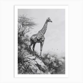 Giraffe On The Cliff Edge Pencil Drawing 4 Art Print