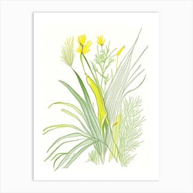 Lemon Grass Spices And Herbs Pencil Illustration 1 Art Print