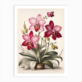 Orchids In A Vase 1 Art Print