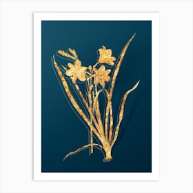 Vintage Daylily Botanical in Gold on Teal Blue n.0055 Art Print