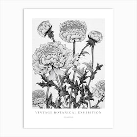 Scabiosa B&W Vintage Botanical Poster Art Print