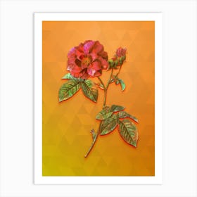 Vintage Apothecary Rose Botanical Art on Tangelo n.2036 Art Print