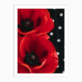 Poppies 6 Art Print