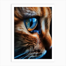 Eye Of A Cat Art Print