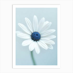 Daisy 1 Art Print