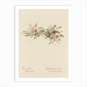 Easter Daisy Art Print