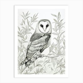 Oriental Bay Owl Drawing 2 Art Print