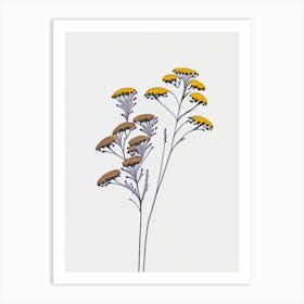 Yarrow Floral Minimal Line Drawing 3 Flower Art Print