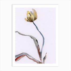 Withered Yellow Tulip Watercolor painting minimal minimalist flower floral white simple modern timeless abstract  Art Print