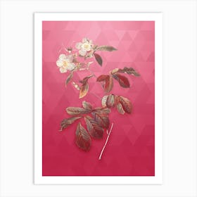 Vintage Pink Alpine Roses Botanical in Gold on Viva Magenta n.0086 Art Print