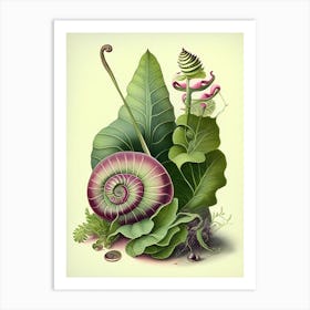 Mystery Snail  Botanical Art Print
