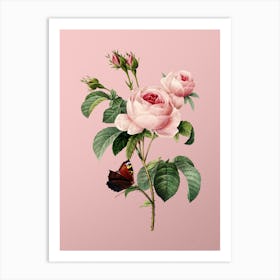 Vintage Provence Rose Botanical on Soft Pink n.0463 Art Print